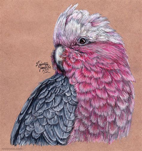 40 Beautiful Bird Drawings And Art Works For Your Inspiration