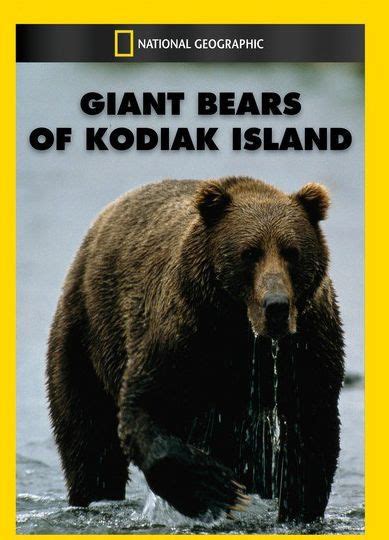 National Geographic Giant Bears Of Kodiak Island By Richard Kiley
