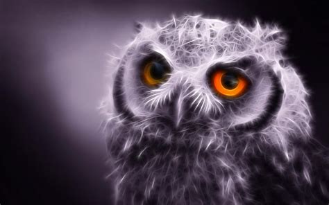 Fractal Night Owl Owl Bird Wild Fractal Animal Night Hd