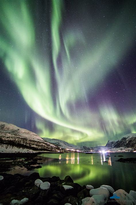 Aurora Boreale In Norvegia Tutto Ciò Che Devi Sapere Traveltik The