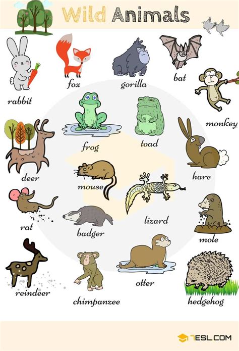 Learn 100 Animal Names In English Animals Name In English English