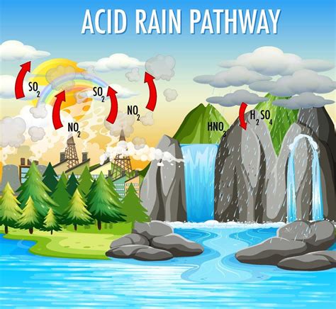 Diagram Showing Acid Rain Pathway 3427051 Vector Art At Vecteezy