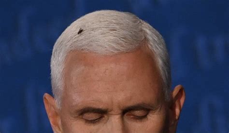 Video Of A Fly Sitting Atop Mike Pence’s Head For Two Minutes During The Vp Debate Global Pint