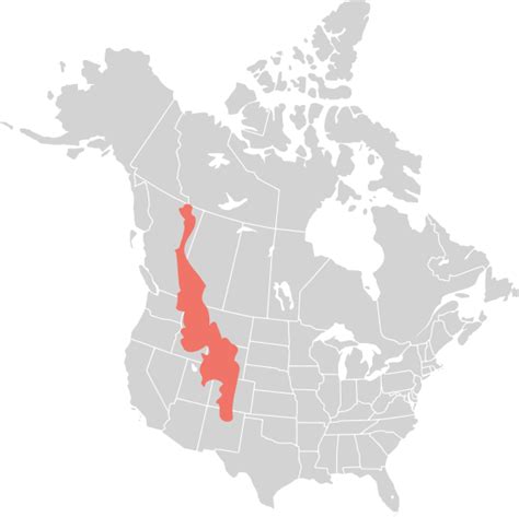 Rocky Mountains Wikipedia