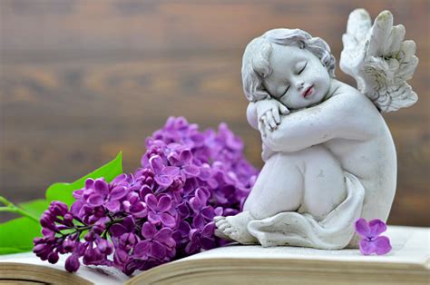 Angel And Flower Stock Photo Download Image Now Istock