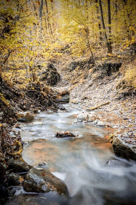 Creek In Forest In Autumn Stock Photo Image Of Foliage 34686200