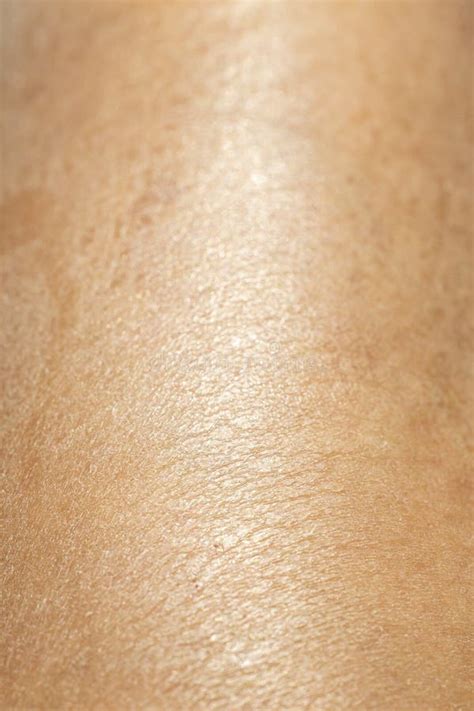 Woman Dry Skin On Leg Close Up And Macro Shot Abstract Background