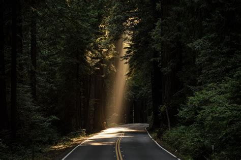 Free Stock Photo Of Sun Rays On Road Download Free Images And Free