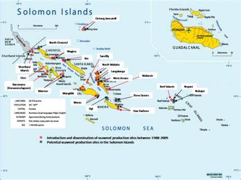 Sustainable Seaweed Farming In Solomon Islands Kslofliving Oceans