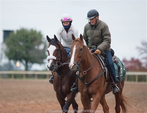 Breeders' Cup Classic contenders begin to arrive at Keeneland for the ...