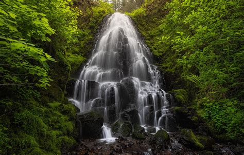 Обои лес водопад Орегон каскад Oregon Columbia River Gorge Fairy
