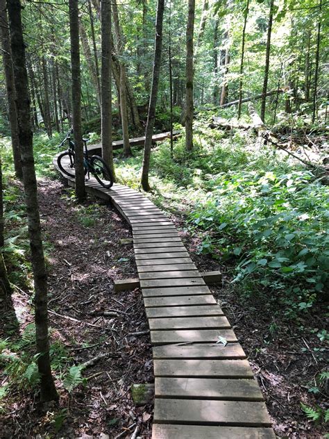 Kingdom Trails Mountain Bike Trail In East Burke Vermont Directions