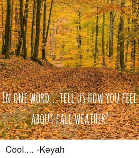 I can't wait to marry you someday. 19 Funny Fall Weather Meme That Make You Laugh | MemesBoy