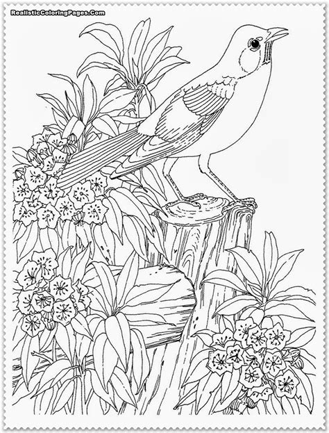 Parents who just hand out coloring pages for kids and go off to do other things are missing a valuable bonding opportunity. Realistic coloring, Download Realistic coloring for free 2019