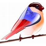 Bird Colorful Clipart Icon Clip Sparrow Vector