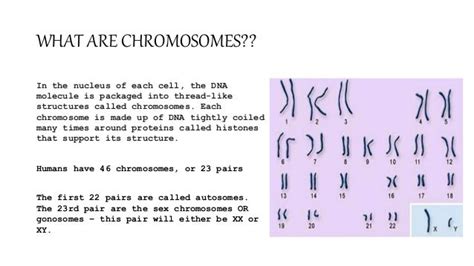 Chromosome Analysis