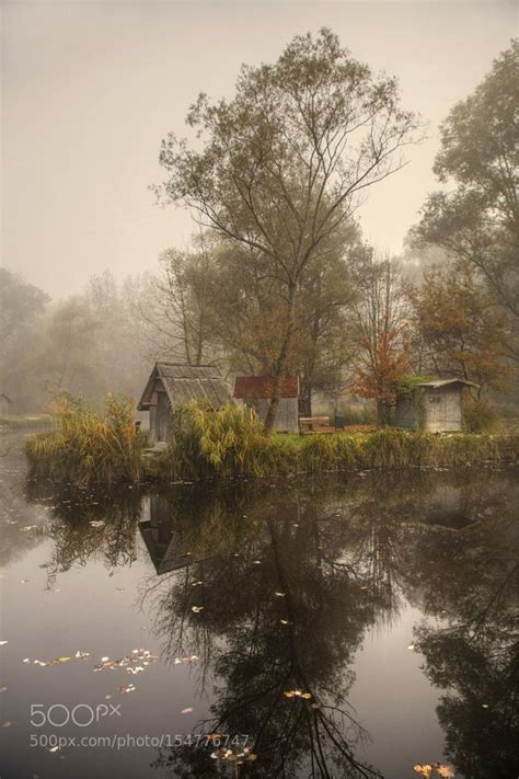 Tranquil Morning Landscape Paintings Landscape Art Painting Autumn