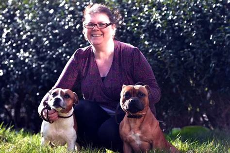 Crufts 2014 Birmingham Woman Dismisses Bad Reputation Of Staffordshire