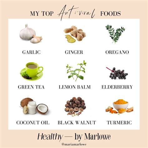 the top 9 anti viral foods glow by marlowe
