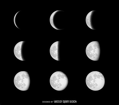 Phases Of The Moon Free Vector Moon Phases Material Design