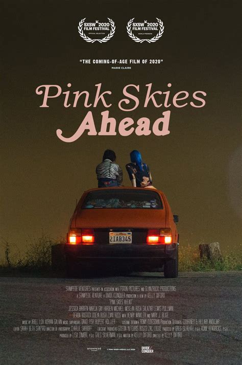 Pink Skies Ahead 2020