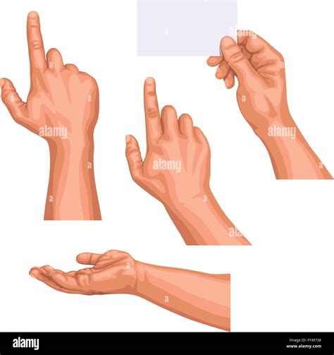 Hand Poses Stock Vector Images Alamy