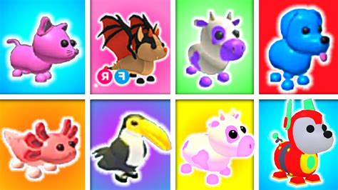 Unlocking Every Adopt Me Pet In Roblox Find The Pet Sim Xadopt Me
