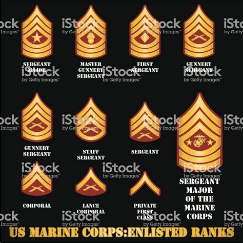 √ Us Navy Ranks Gunnery Va Army