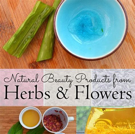 Diy Herbal Skin Care How To Use Plants To Make Natural Beauty Products
