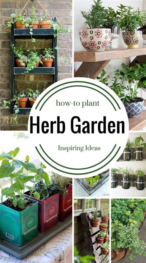 Everything Plants And Flowers 9 Herb Garden Ideas How To Plant