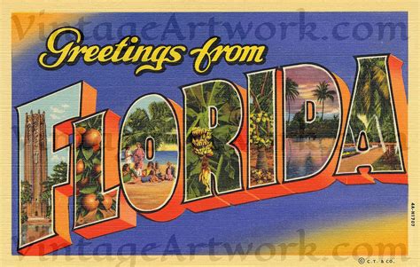 Greetings From Florida Postcard Front Digital Download Curt Teich