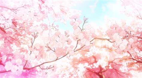 Anime Aesthetic Wallpaper Cherry Blossom Tree Canvas Canvaskle