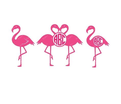Flamingo Svg Png Pdf Pink Flamingo Vector Flamingo Monogram Frame