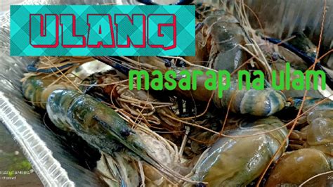 Tayo Na Mag Alaga Ng Ulang Fresh Water Prawn Youtube