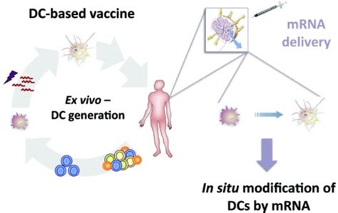 Figure From An Ex Vivo Generated DC Based Vaccine T Open I