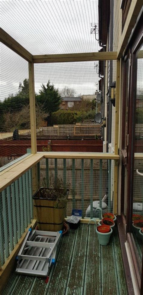 Cat Proof Balconies Cat Fence And Catio Specialists Sanctuary Sos