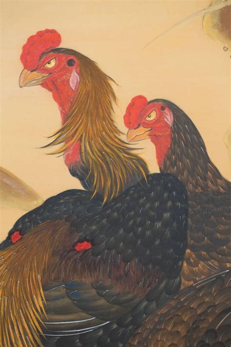 Japanese Two Panel Screen Japanese Chickens Shamo Breed For Sale At