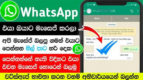 How To Disable Tow Blue Tick Marks In Whatsapp Read Messages Sinhala