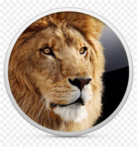 And Mac Os X Lion Logo Hd Png Download 948x10242634046 Pngfind