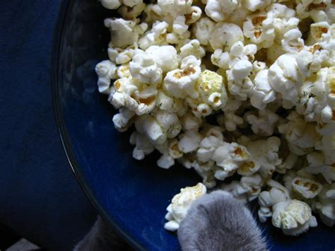Gourmet And Little Lads Popcorn The Blueberry Files