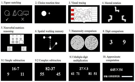 Visual Perception Test