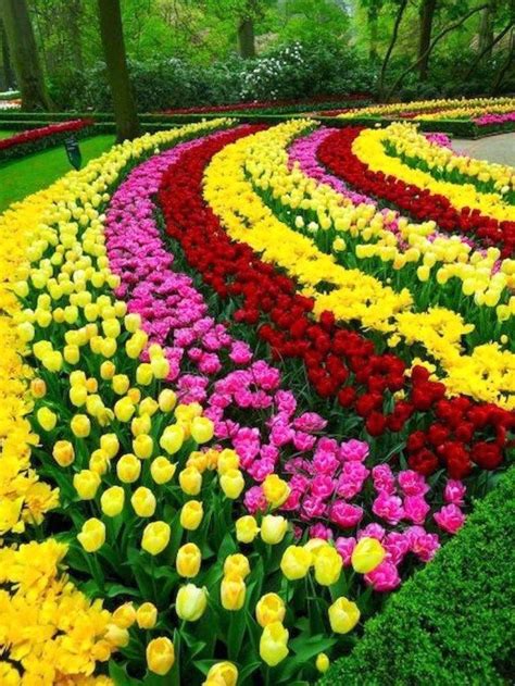 52 Beautiful Flower Garden Design Ideas Mainstay Find Tips