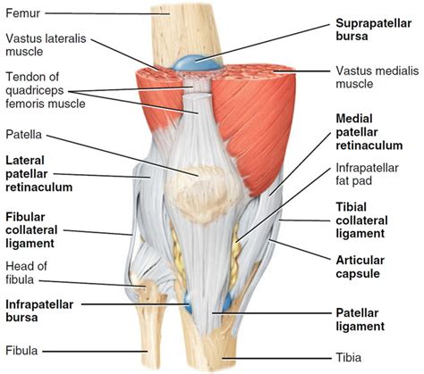 Knee Pain Causes Exercises Remedies Medication And Treatment