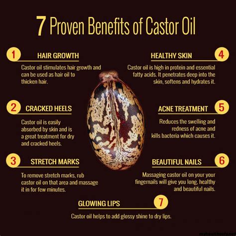 23 Tremendous Benefits Of Castor Oil You Must To Know My Health Only