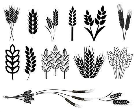 Wheat Svg Wheat Svg Bundle Wheat Clipart Wheat Silhouette Wheat