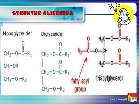 Gliserida Lipid