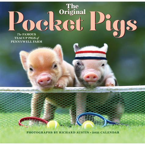 The Original Pocket Pigs Wall Calendar 2021