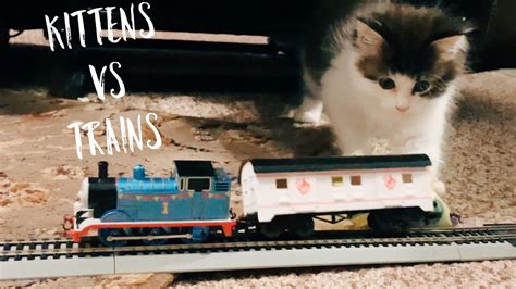 Kittens Playing With Trains Do Cats Like Thomas Youtube