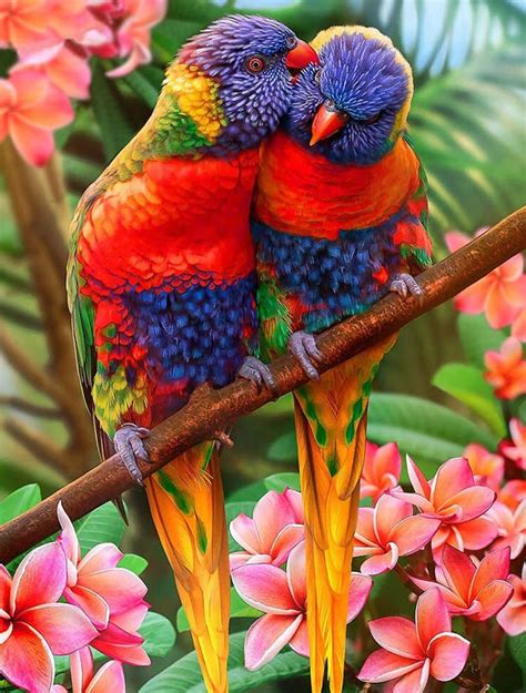Parrot Kisses Diamond Craft