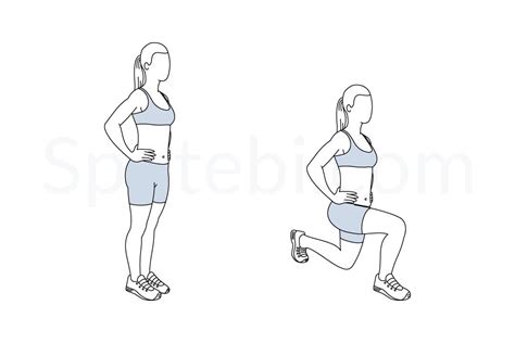 Lunges Workout Guide Exercise Lunge Workout